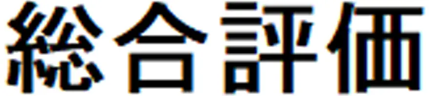 総合評価